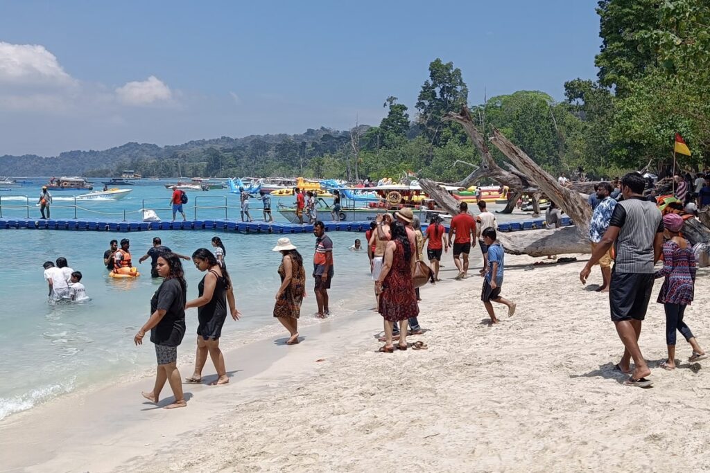 Elephant Beach