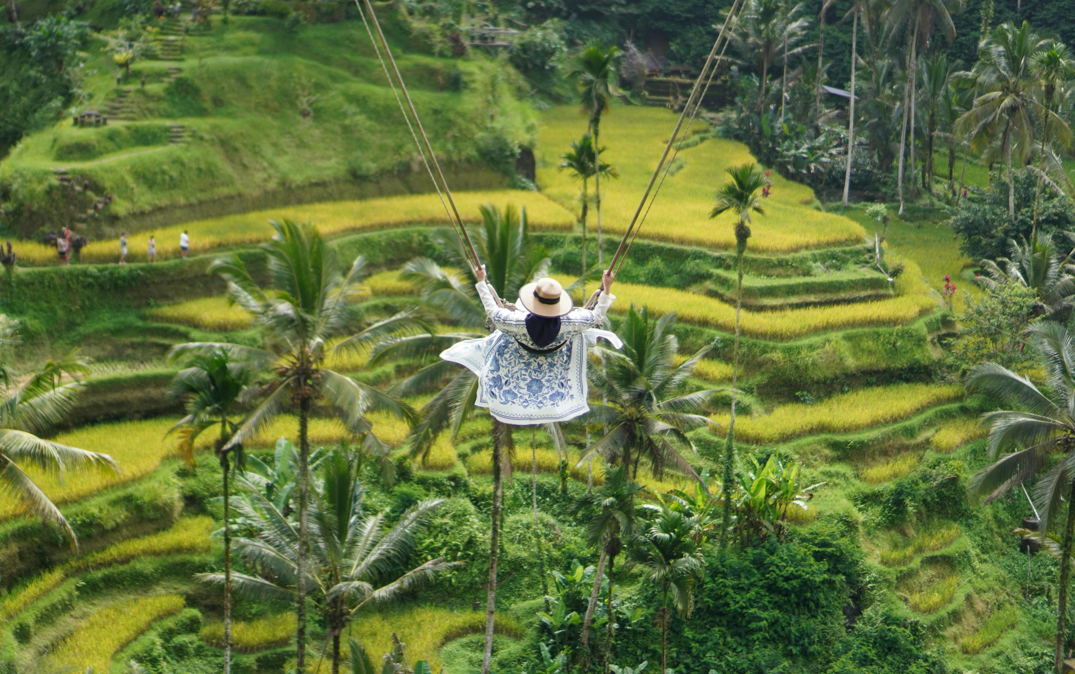 Ubud Swing