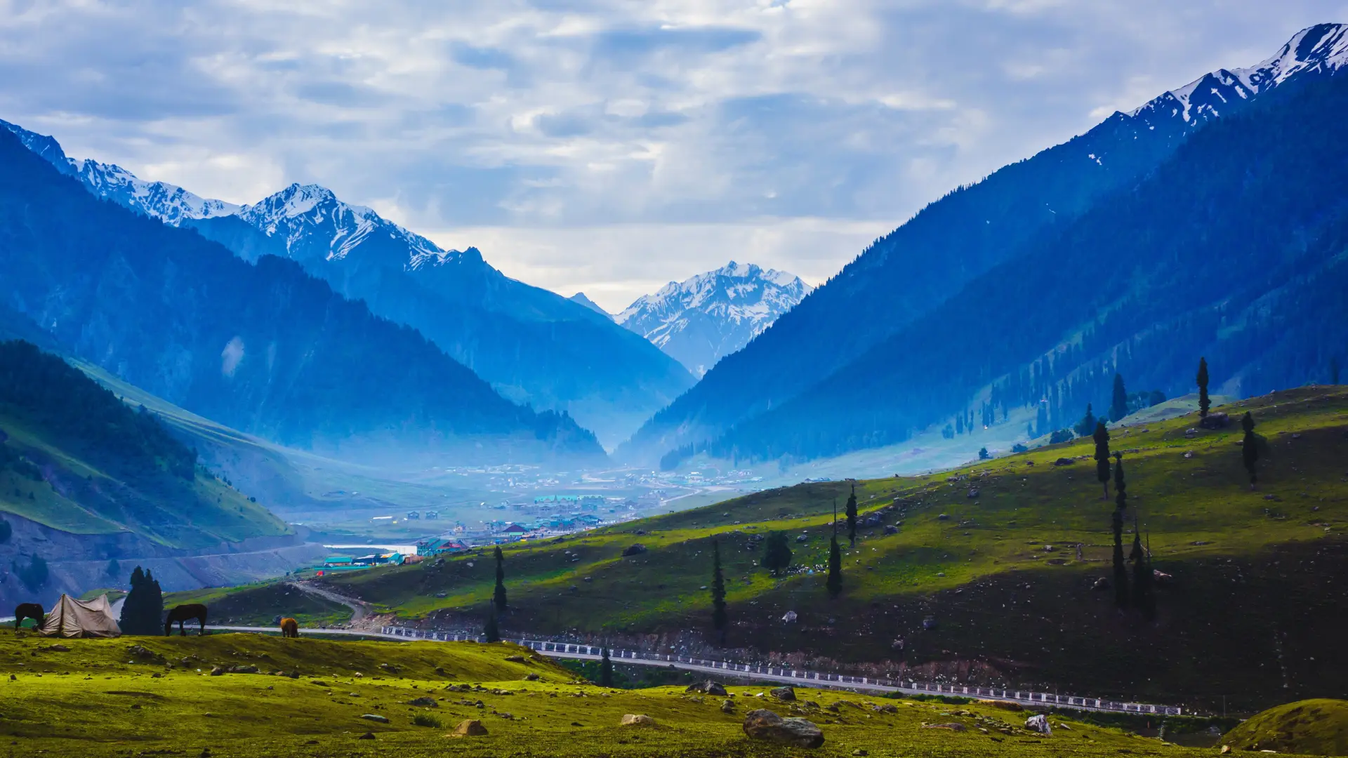 Kashmir beauty