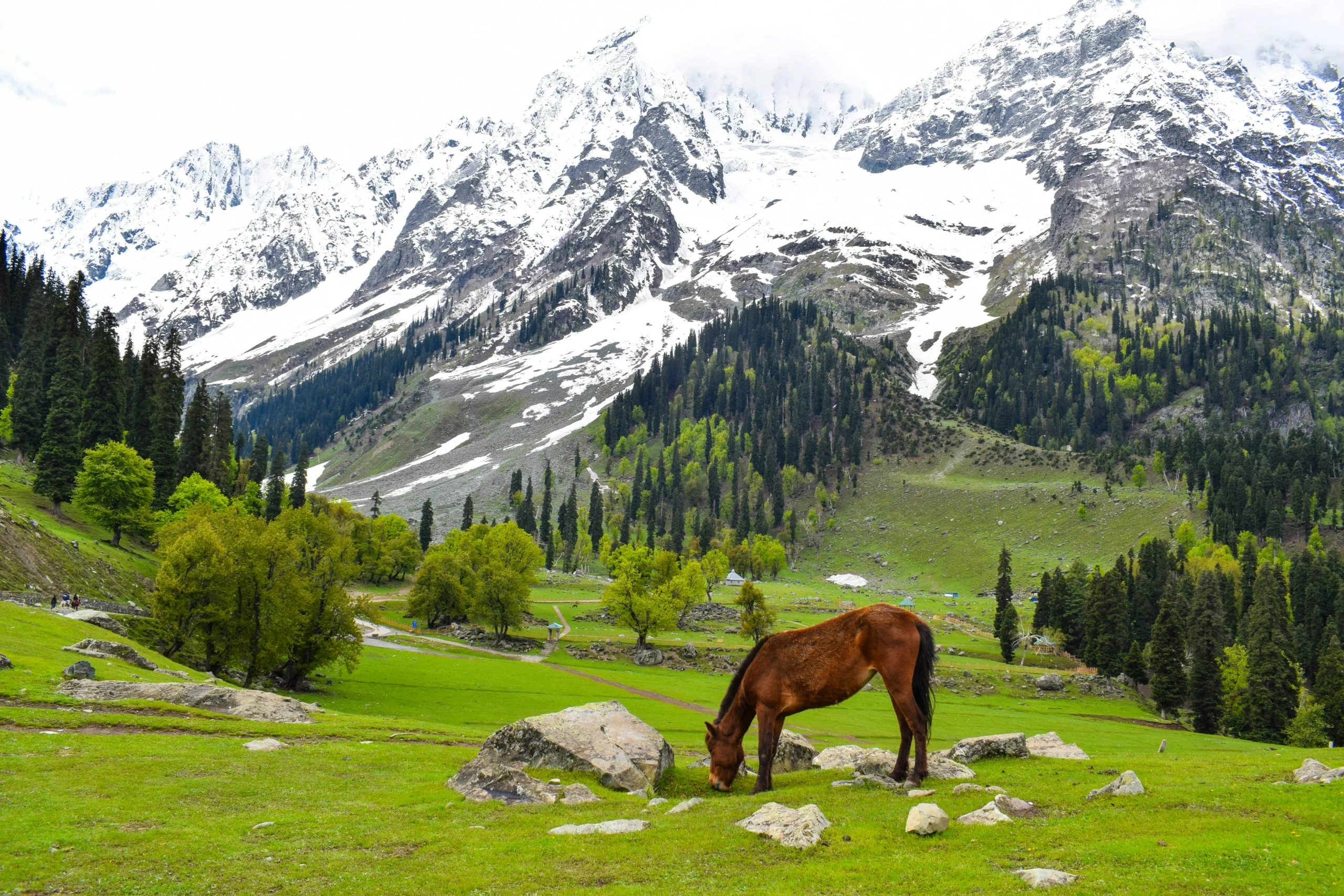 Sonmarg road